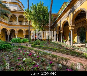 Patio mit Kolonnade, Innenhof mit Blumenbeeten, andalusischer Adelspalast, Palacio de las Duenas, Sevilla, Andalusien, Spanien Stockfoto