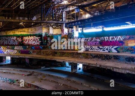 Lost Place, Ruinen des Es Foguero Palace Discotheque, Alcudia Palace, Alcudia, Mallorca, Ballearen, Spanien Stockfoto