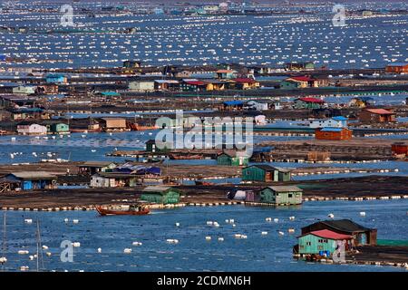 Schwimmende Stadt in der Bucht, Häuser auf Bambuskonstruktionen mit Aquakulturen, Xiapu, China Stockfoto