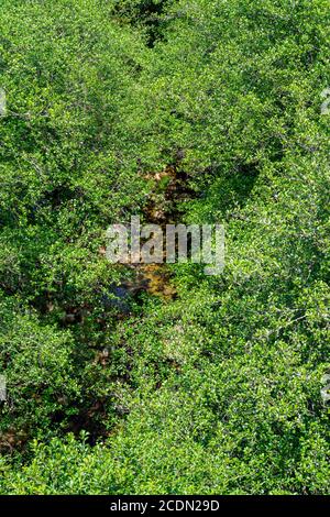 Wasser aus portugiesischen Flüssen Stockfoto