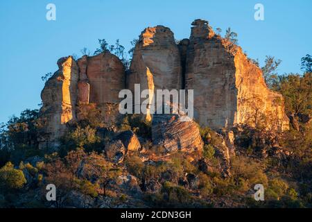 Felssandsteinausbissfest am Bergstrand, Salvator Rosa Section Carnarvon National Park, Queensland, Australien Stockfoto