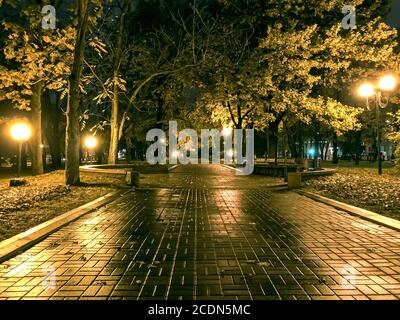 Herbstpark in der Nacht. Nasse Kopfsteinpflaster von Fußwegen reflektieren Straßenlaternen Stockfoto