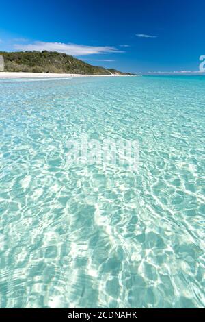Weißer Sand und klares Wasser unter blauem Himmel, nahe Awinya Creek, Westufer Fraser Island, Hervey Bay Queensland Australien