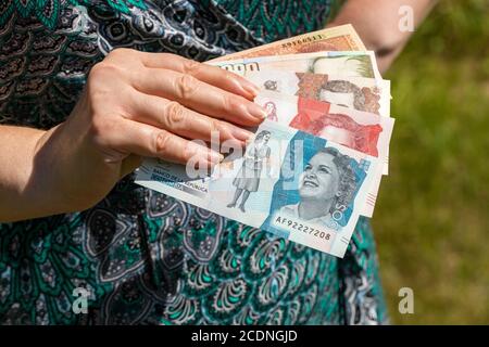 Eine Frau hält kolumbianische Pesos in der Hand. Hände auf dem Hintergrund des Kleides. Wirtschaftskrise Stockfoto