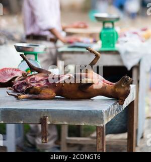 Hundefleisch auf dem Markt in Vietnam Stockfoto