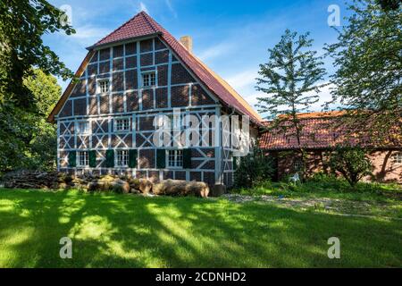 D-Dorsten, D-Dorsten-Hardt, Lippe, Ruhrgebiet, Naturpark hohe Mark Westmünsterland, Münsterland, Westfalen, Nordrhein-Westfalen, NRW, Vennemann Hof, Bauernhaus, Fachwerkhaus, Abendlicht Stockfoto