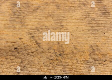 Die Oberfläche eines alten Holzbretts, verwittert und verblasste in der Sonne. Stockfoto