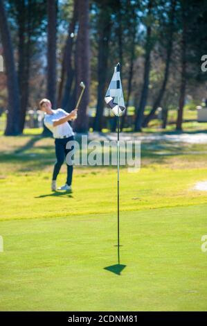 Bild eines Golfspielers, der einen Chip-Schuss auf den spielt Grün auf einem Golfplatz in Südafrika Stockfoto