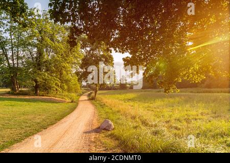 Fußweg in einem schönen grünen Park (Jenischpark in Hamburg, Deutschland) an einem sonnigen Tag im Sommer mit landschaftlich schönen Lichtreflexen Stockfoto
