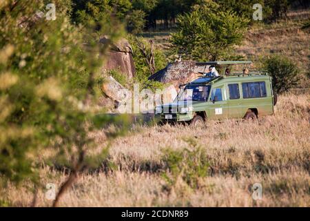 Jeep mit Touristen auf Safari in Serengeti, Tansania, Afrika. Stockfoto