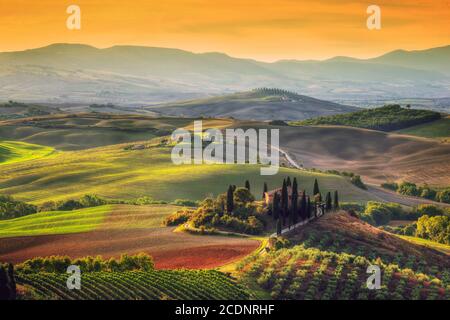 Toskana Landschaft bei Sonnenaufgang. Toskanisches Bauernhaus, Weinberg, Hügel. Stockfoto