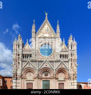 Dom von Siena, Duomo di Siena in Siena, Italien, Region Toskana. Stockfoto