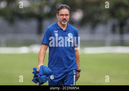 Kematen, Österreich. August 2020. Fußball: Testspiele, FC Schalke 04 - Aris Saloniki. Schalkes Cheftrainer David Wagner verlässt nach dem Spiel das Spielfeld. Quelle: Tim Rehbein/dpa/Alamy Live News Stockfoto