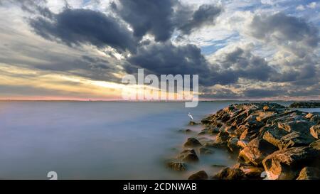 Atemberaubend schöne Langaufnahme der Chesapeake Bay in Maryland Bei Sonnenuntergang mit einem Großreiher, der majestätisch am steht Ende einer Rock Jetty Toilette Stockfoto