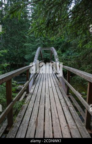 Taevaskoja Wanderwege in Estland Stockfoto