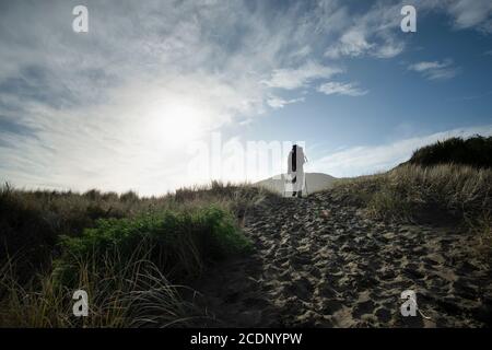 Wandern auf dem schwarzen Sandstrand Anawhata Beach, Waitakere, Neuseeland Stockfoto