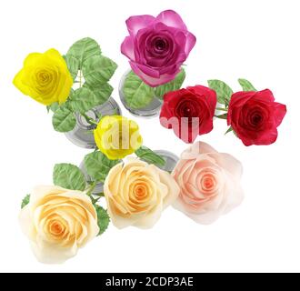 Draufsicht der Rosen in Glasvasen isoliert auf weißem Hintergrund Stockfoto