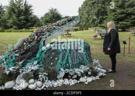 london UK 29 August 2020 Besucher werden eine spektakuläre Blumenskulptur bewundern, die aus tausenden von Blumen und Pflanzen hergestellt wurde und von den Gewinnern von Netflix's ‘The Big Flower Fight’ 2020, In Kew Gardens präsentiert sie ihre Talente mit einer prächtigen Blumenskulptur eines Buckelwals.‘The Big Flower Fight’ Gewinner waren Andrew Whittle und Ryan Lanji.Paul Quezada-Neiman/Alamy Live News Stockfoto