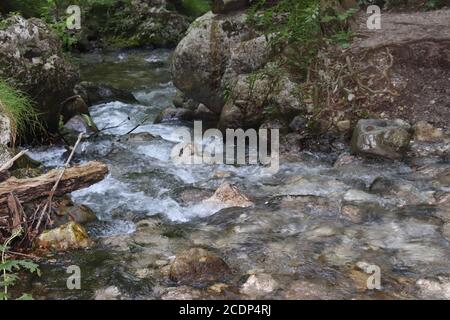 Naturlandschaft mit schönen Kaskaden von Bergbach zwischen üppigen Dickichten im Wald. Idyllische grüne Landschaft mit kleinem Fluss Stockfoto