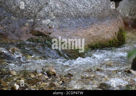 Naturlandschaft mit schönen Kaskaden von Bergbach zwischen üppigen Dickichten im Wald. Idyllische grüne Landschaft mit kleinem Fluss Stockfoto