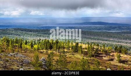 Polar Hügel skandinavischen Tundra im Sommer Stockfoto