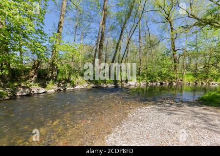 Der Weiße Main in Baille-Maille Lime Avenue Stockfoto