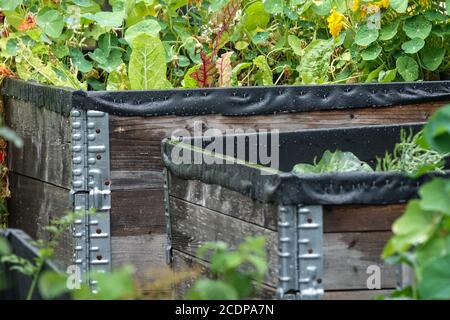 Hochbeet Garten für Gemüsepflanzen Stockfoto