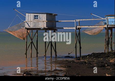 Traditionelle hölzerne Fischerhütte oder -Hütte, die auf Stelzen ruht und über einen Gehweg erreicht wird. Gironde-Mündungsküste bei Talmont-sur-Gironde, Nouvelle-Aquitaine, Frankreich. Bei Flut von August bis Oktober verwenden Fischer Winden, um ihre Karrelets, quadratische Maschennetze, die über Metallrahmen gespannt sind, zu senken und anzuheben, um Garnelen, Sardinen und andere kleine Fische zu ernten. Stockfoto