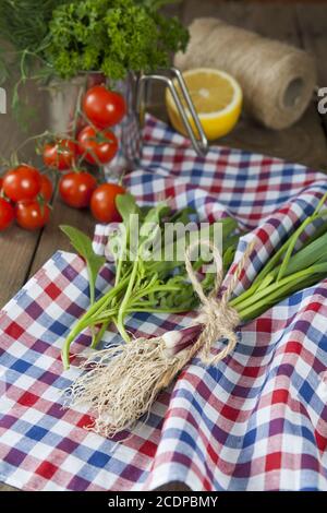 Frischer grüner Knoblauch Spears und Rucola auf Serviette mit Tomaten und Zitrone Stockfoto