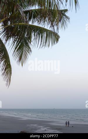 HUA HIN, THAILAND - 2015. FEBRUAR. Ein Paar mit dem Hund, der am Abend am Strand von Hua hin spazierenging. Stockfoto