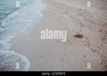 Schöne Seeseite und gegenüber weggeworfene Plastikflasche, die an der Küste liegt und Umweltplastik verursacht. Müll am Strand Stockfoto