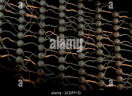 Künstliches neuronales Netz. Neuron Netzwerk mit Verbindung Links. 3D illustration Stockfoto