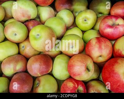 Große Gruppe von reifen roten und grünen Äpfeln Hintergrund Stockfoto
