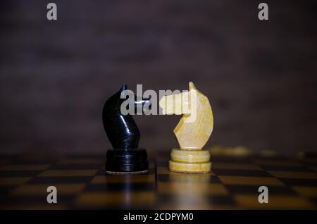 Schachpferde vor einander. Schwarze und weiße Pferde auf einem Schachbrett. Nahaufnahme Stockfoto