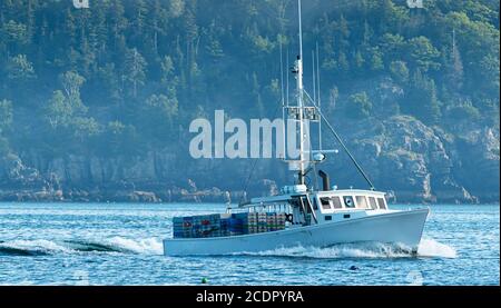 Ein Hummer-Fischerboot ist unterwegs für einen Tag der Arbeit, während der Nebel hebt mit Stachelschwein Insel im Hintergrund. Stockfoto