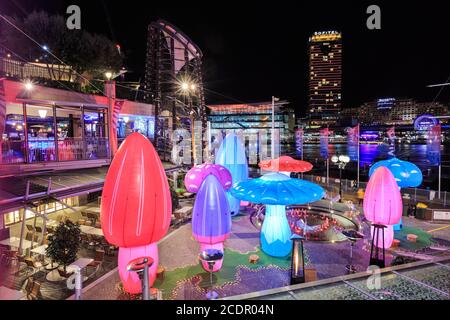 Cockle Bay, Sydney, Australien, während des Vivid Sydney Festivals. Eine farbenfrohe nächtliche Ausstellung von riesigen, beleuchteten Pilzen. Mai 28 2019 Stockfoto