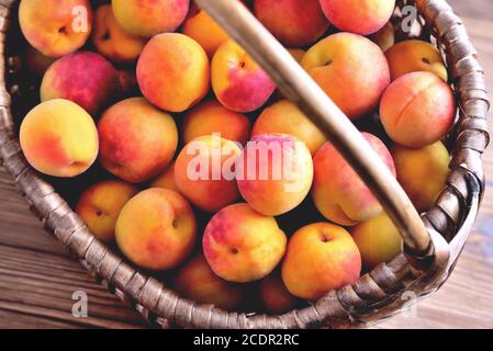 Natürliche reife Aprikosen in einem Weidenkorb close up top Anzeigen Stockfoto