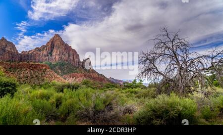 Der Wächter Berg gesehen von der Pa'rus Trail, schlängelt sich entlang und über den Virgin River im Zion National Park, Utah, USA Stockfoto