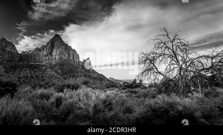 Schwarz-Weiß-Foto des Wachmannberges von Der Pa'rus Trail, der sich entlang und über die Jungfrau schlängelt Fluss im Zion National Park Stockfoto