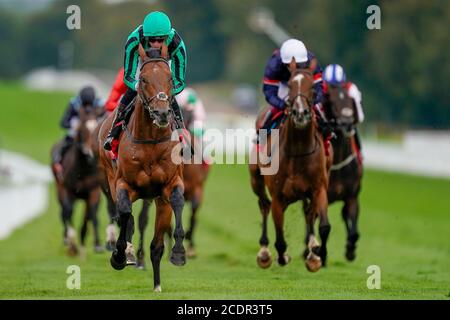 James Doyle Riding Century Dream (grün) gewinnt die Ladbrokes Celebration Mile Stakes auf der Goodwood Racecourse. Stockfoto