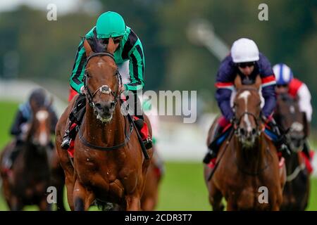 James Doyle Riding Century Dream (grün) gewinnt die Ladbrokes Celebration Mile Stakes auf der Goodwood Racecourse. Stockfoto