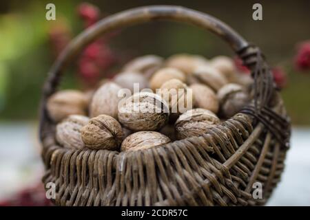 Weidenkörbe mit Walnüssen Stockfoto