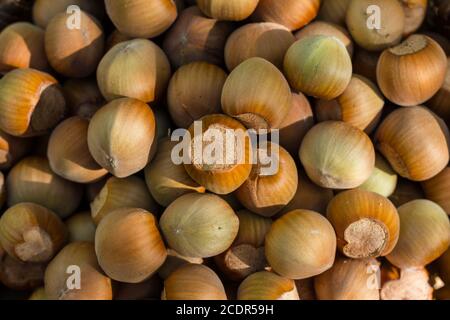 Ein Korb mit gerösteten Haselnüssen einladen Stockfoto