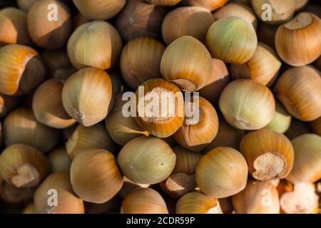 Ein Korb mit gerösteten Haselnüssen einladen Stockfoto