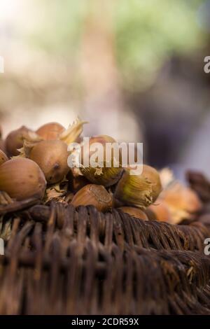 Ein Korb mit gerösteten Haselnüssen einladen Stockfoto