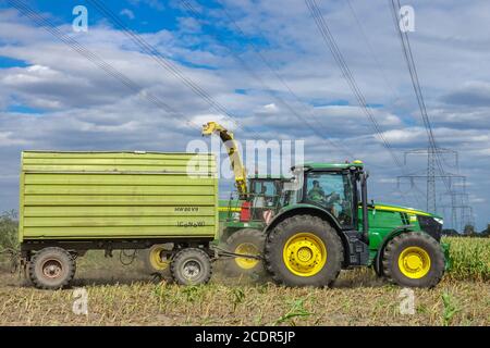 Landwirtschaft Landwirtschaft Ernte Mais unter Hochspannungsleitungen und Pylonen John Traktor von Deere Stockfoto