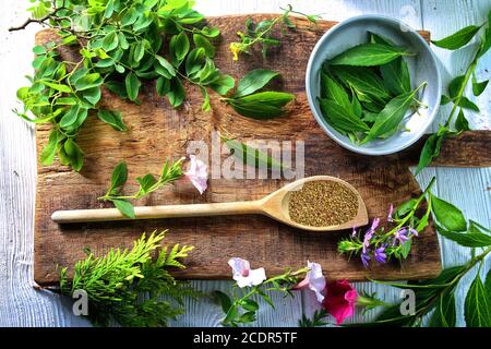 Provenzalische Kräuter auf einem Löffel in der Küche Stockfoto