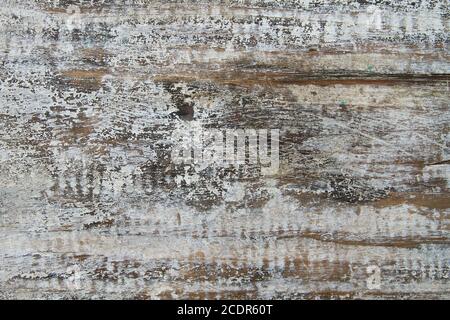 Weiß bemalte Struktur aus notgekleidtem Holz Stockfoto