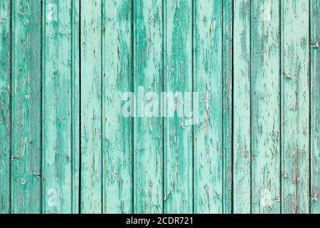 Grüner Holzhintergrund und Textur Stockfoto