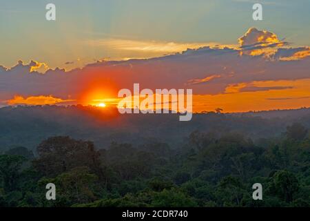 Sonnenaufgang über dem Amazonas Regenwald bei Alta Floresta, Brasilien Stockfoto
